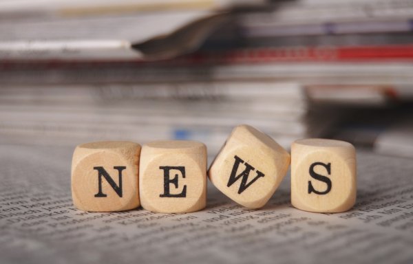 В Подмосковье впервые оштрафовали за борщевик при помощи ИИ